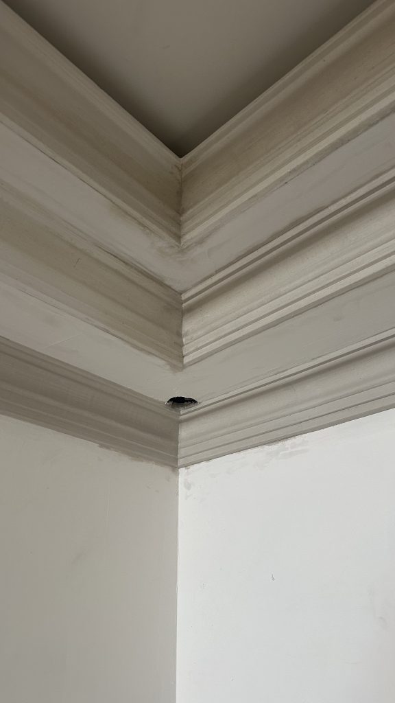Detail der Deckenprofile vor dem abschließenden Anstrich.
